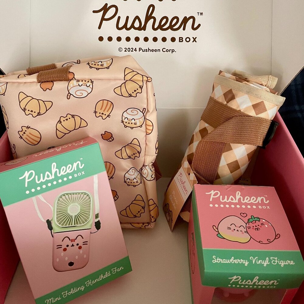 Pusheen Box various items